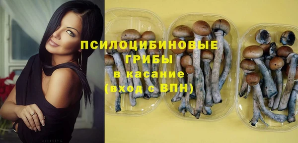 а пвп мука Баксан