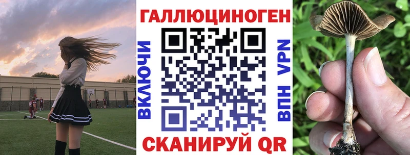 Галлюциногенные грибы GOLDEN TEACHER  Купить где  Новоуральск 
